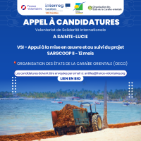 OECS - Support for the implementation and monitoring of the SARGCOOP II project || Appui à la mise en oeuvre et au suivi du projet SARGCOOP II